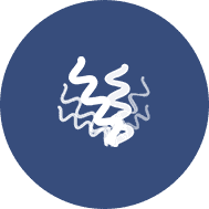 重組抗體表達項目案例