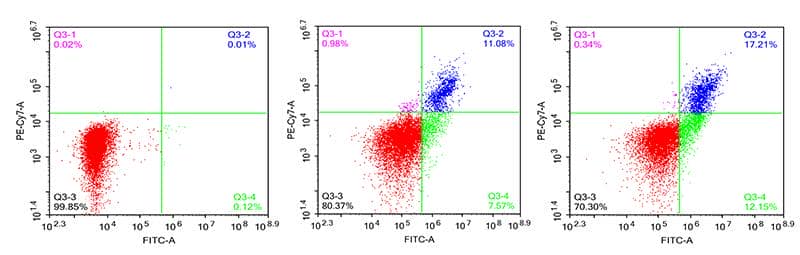 細(xì)胞凋亡檢測(cè)服務(wù)