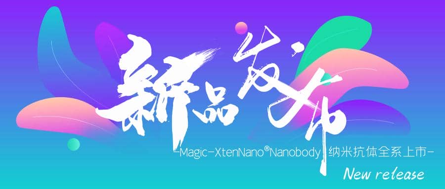 新品發布|Magic-XtenNano®Nanobody納米抗體全系上市