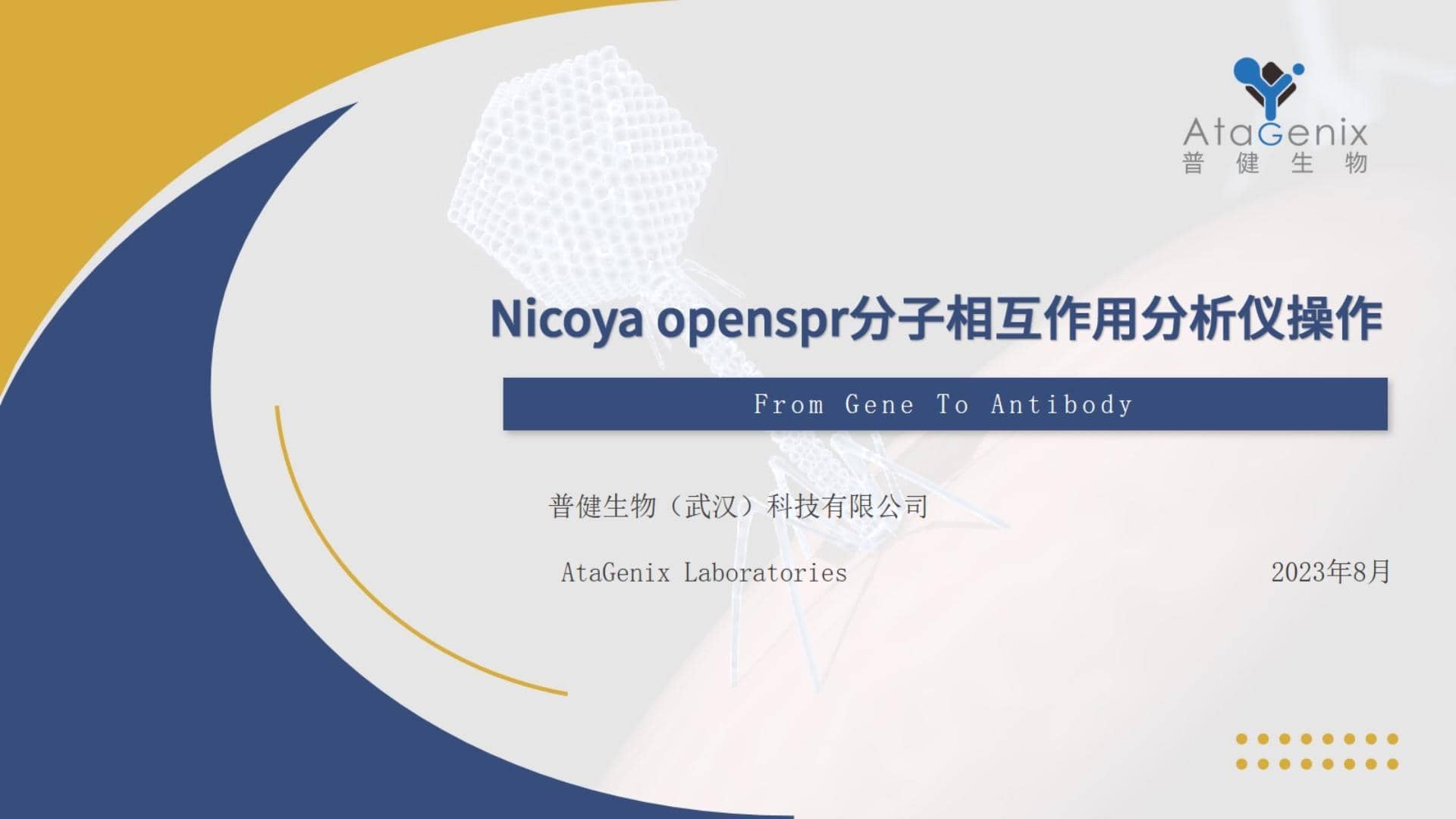 基礎試驗操作篇——SPR親和力測定