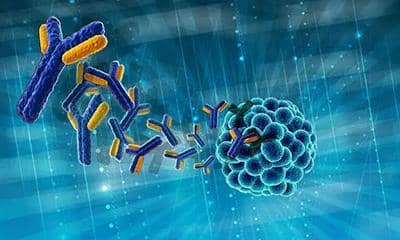 抗原制備時(shí)常用的方法、條件及制備方式