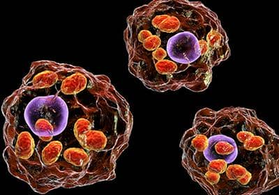 流式細(xì)胞術(shù)的主要用途有哪些?可以用來檢測什么?