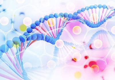 如何選擇優(yōu)質(zhì)的雜交瘤測序公司