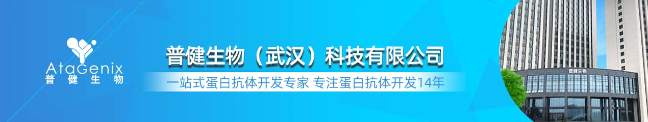 普健生物AtaGenix14年蛋白抗體定制服務