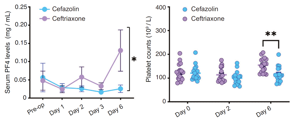 Ceftriaxone抑制C3上調、維持PF4水平，發揮認知保護作用